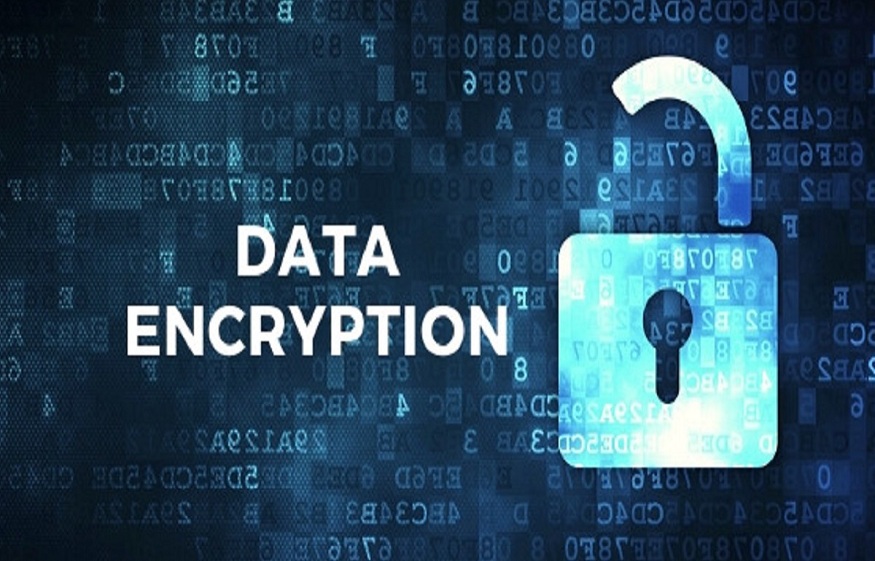 What makes data encryption so popular? An Overview