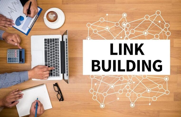 How Indian Link Building Services Adapt to Google Algorithm Changes